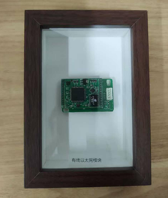 Wired Ethernet Module