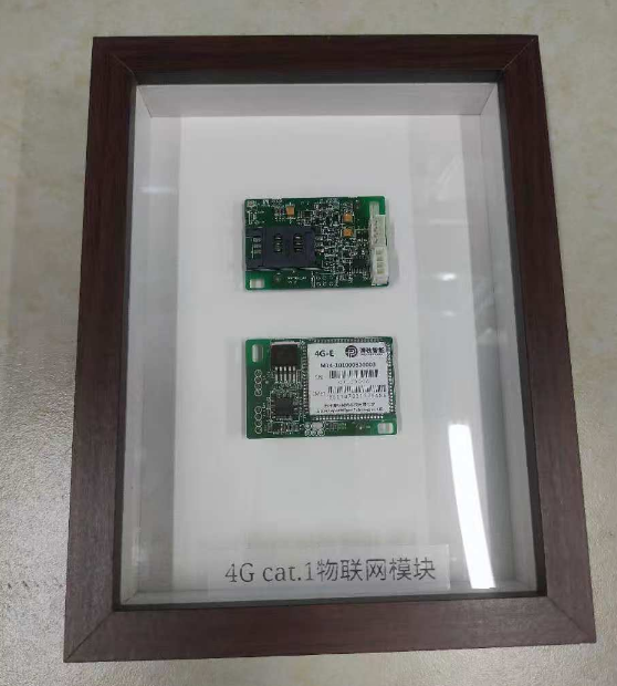 4G Cat.1 module